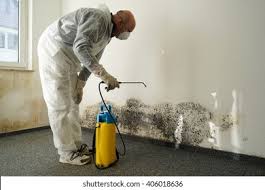 Trusted Walterboro, SC Mold Removal & Remediation Experts